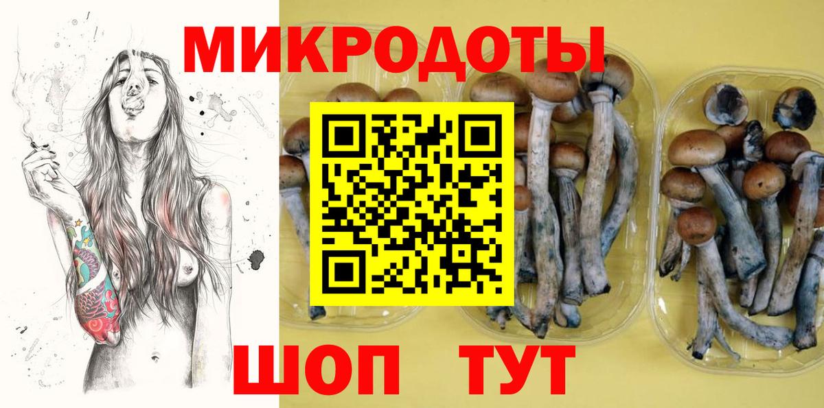 Удомля  Псилоцибиновые грибы GOLDEN TEACHER  Вход с VPN 
